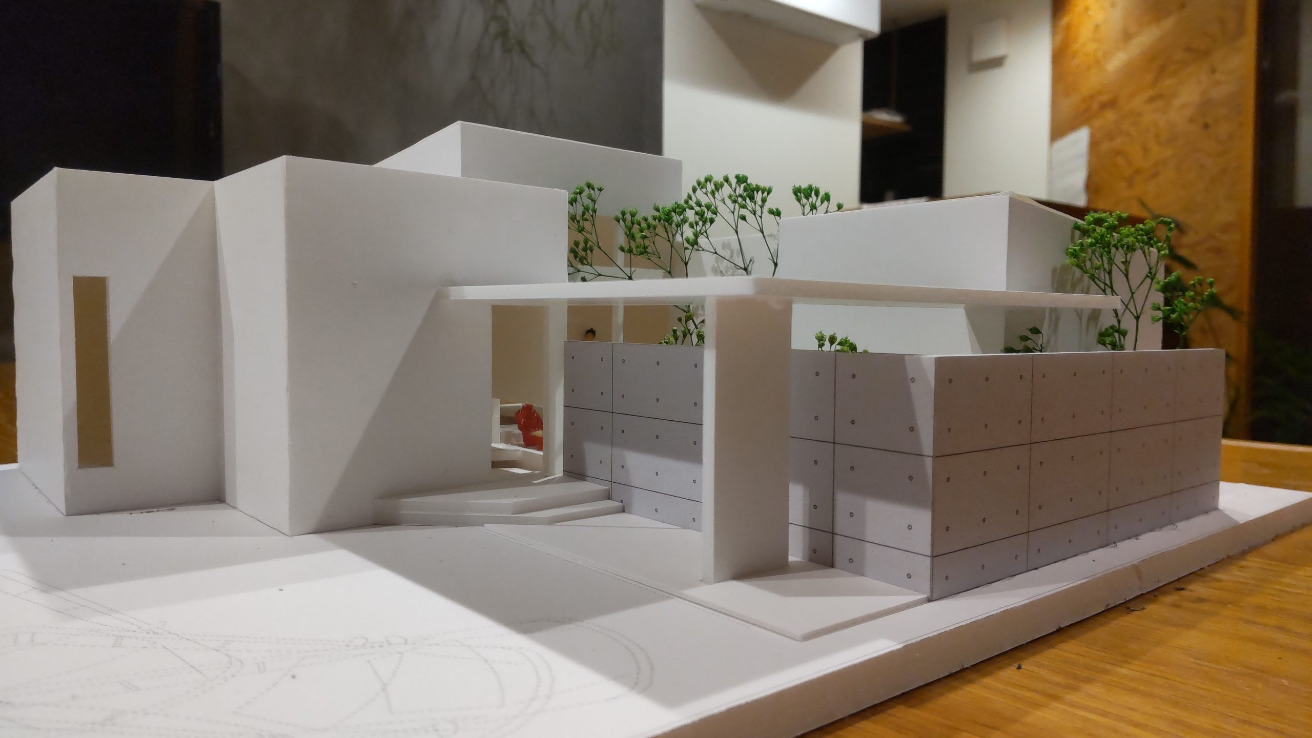 2026.7.6 徳島で進めている平屋住宅